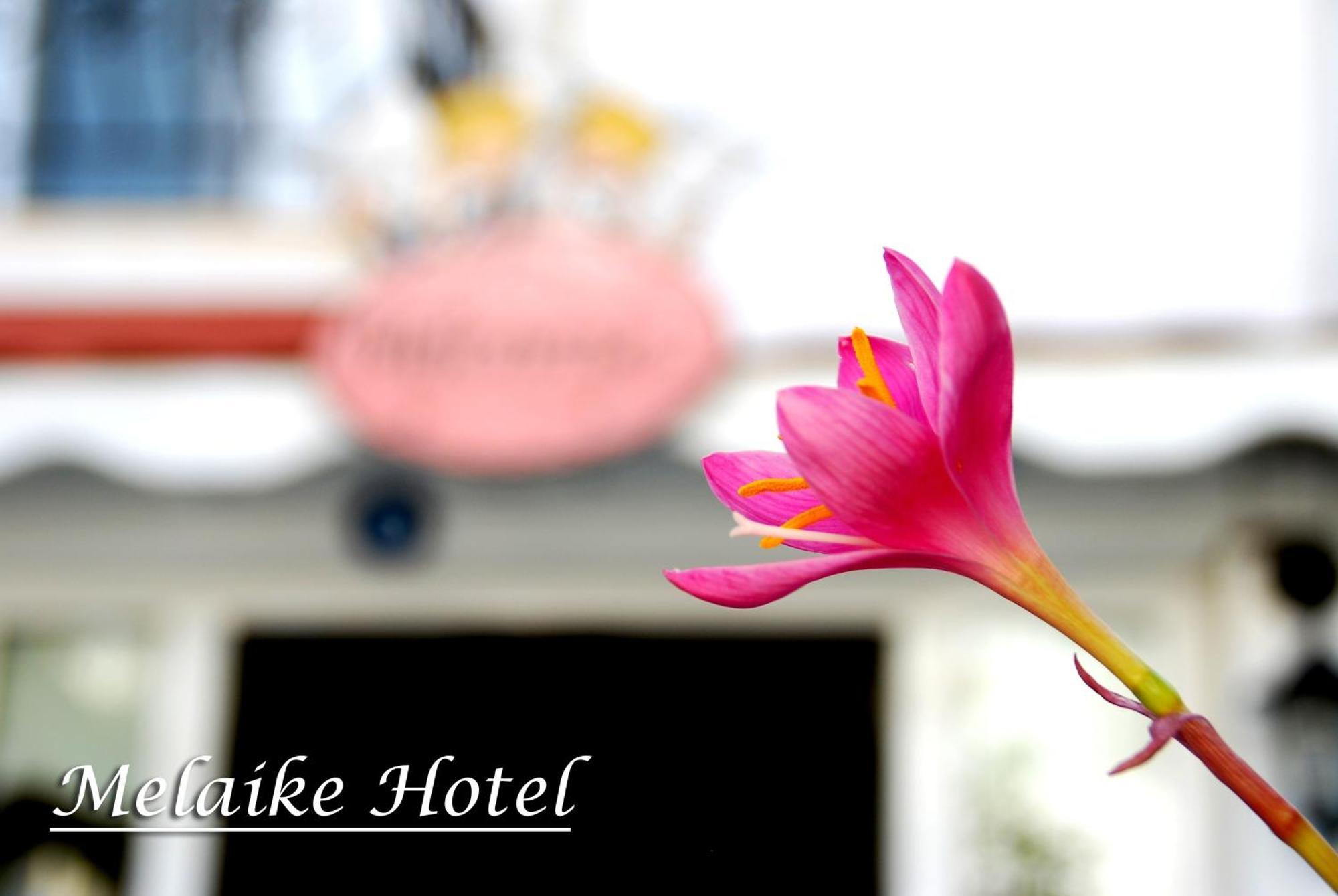 Melaike Hotel فوكا المظهر الخارجي الصورة