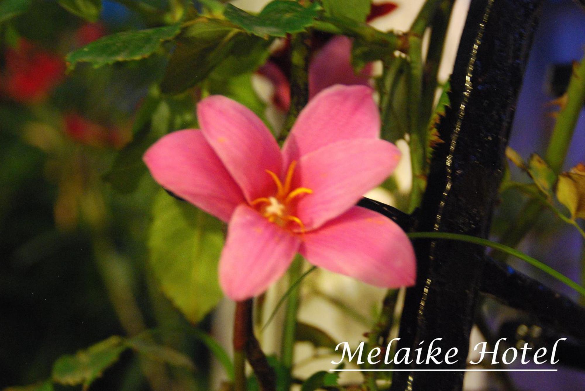 Melaike Hotel فوكا المظهر الخارجي الصورة
